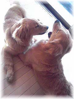 �����܂�T�[�r�X