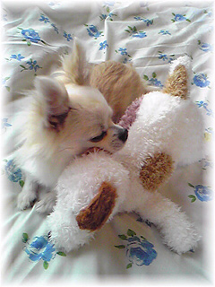 �p�s�[�T�|�[�g